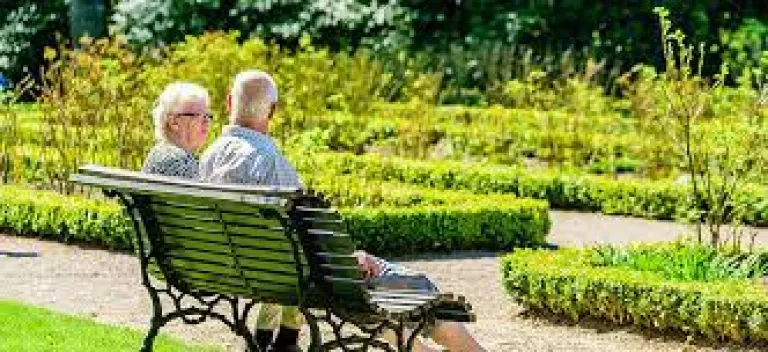 Senior-Citizen-Zone-768w.webp
